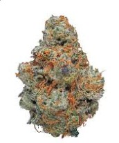 AGENT ORANGE - Sativa-Dominant Hybrid