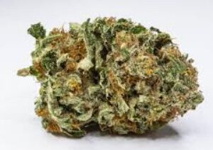 BLUE CHEESE - Indica